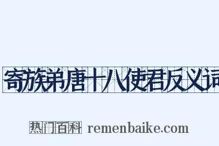 寄族弟唐十八使君反义词是什么意思的图片